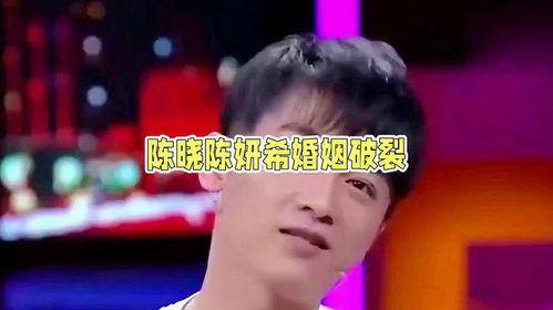 娱乐圈吃瓜陈晓